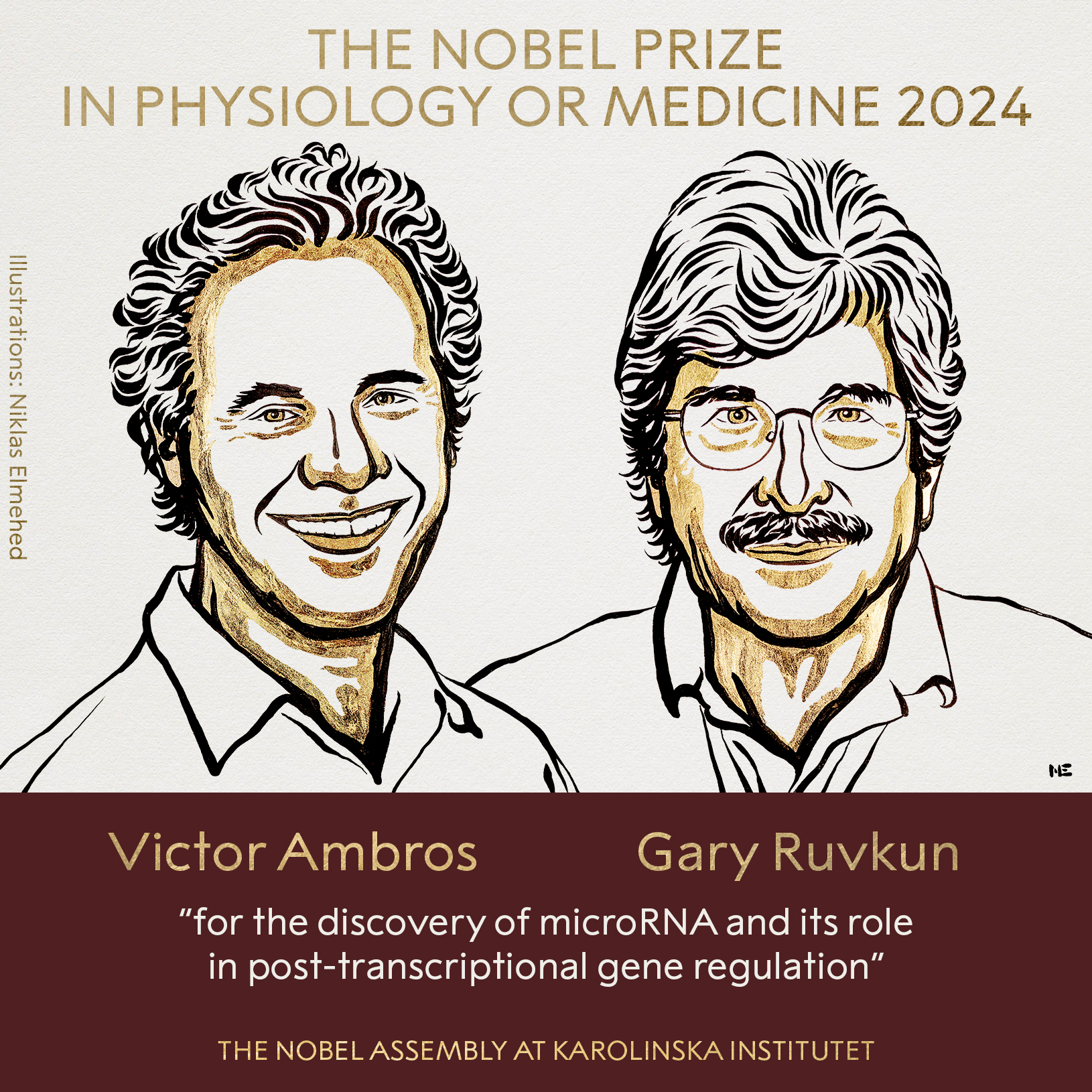Nobel Prize 2024: Winners in Physiology or Medicine